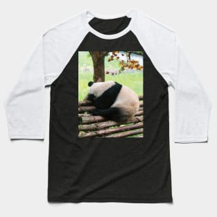 Sleeping Panda Baseball T-Shirt